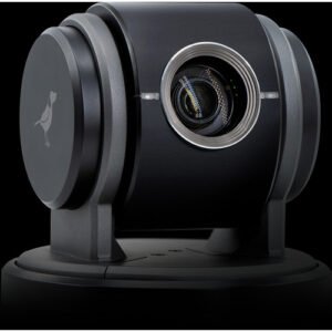 BirdDog Eyes P100 1080p Full NDI PTZ Camera - Black