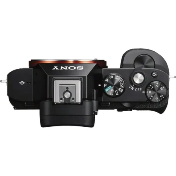 Sony a7S III Mirrorless Camera (Body)