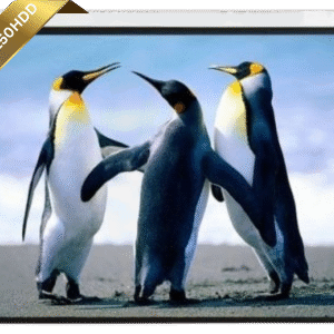 Anchor ANMR150HDD Electric Projector Screen 150 inches ANMR150HDD, Motorized, Matte White, Ceiling/Wall Mount